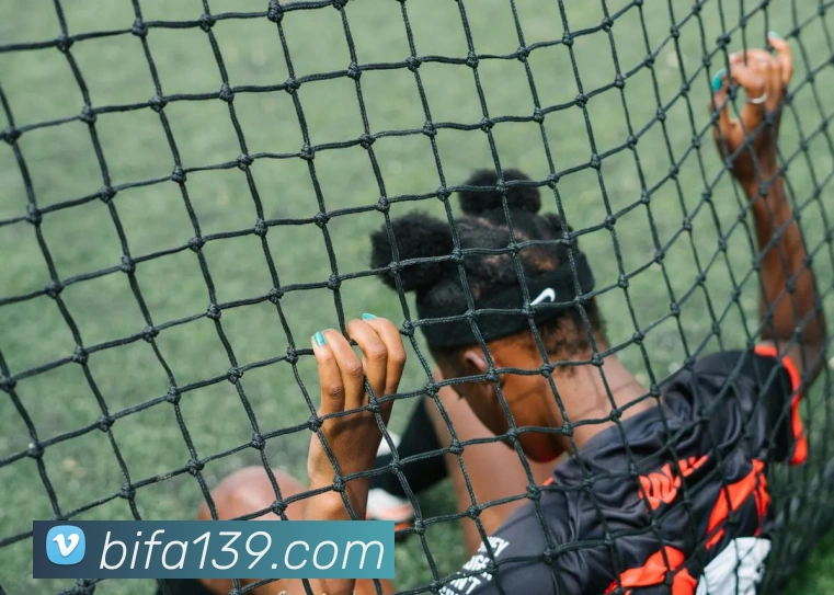 对战数据统计